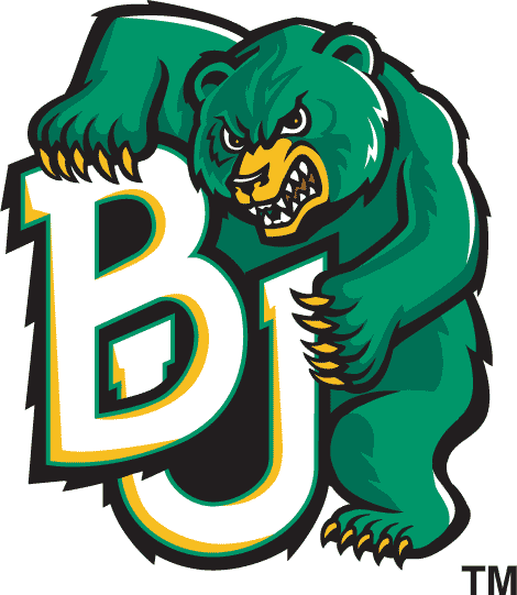 Baylor Bears 1997-2004 Alternate Logo DIY iron on transfer (heat transfer)...